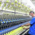 San Valentín mueve el comercio de flores colombianas al mundo