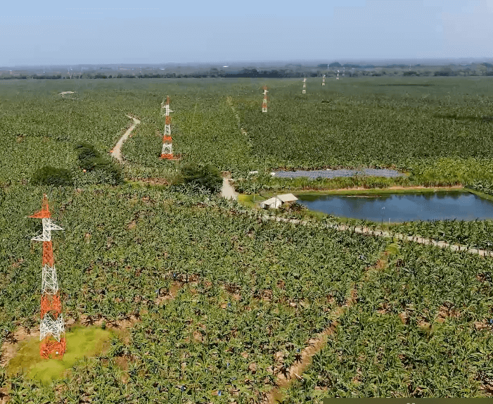 EPM beneficia más de 300 mil personas con conexión Urabá-Nueva Colonia-Apartadó
