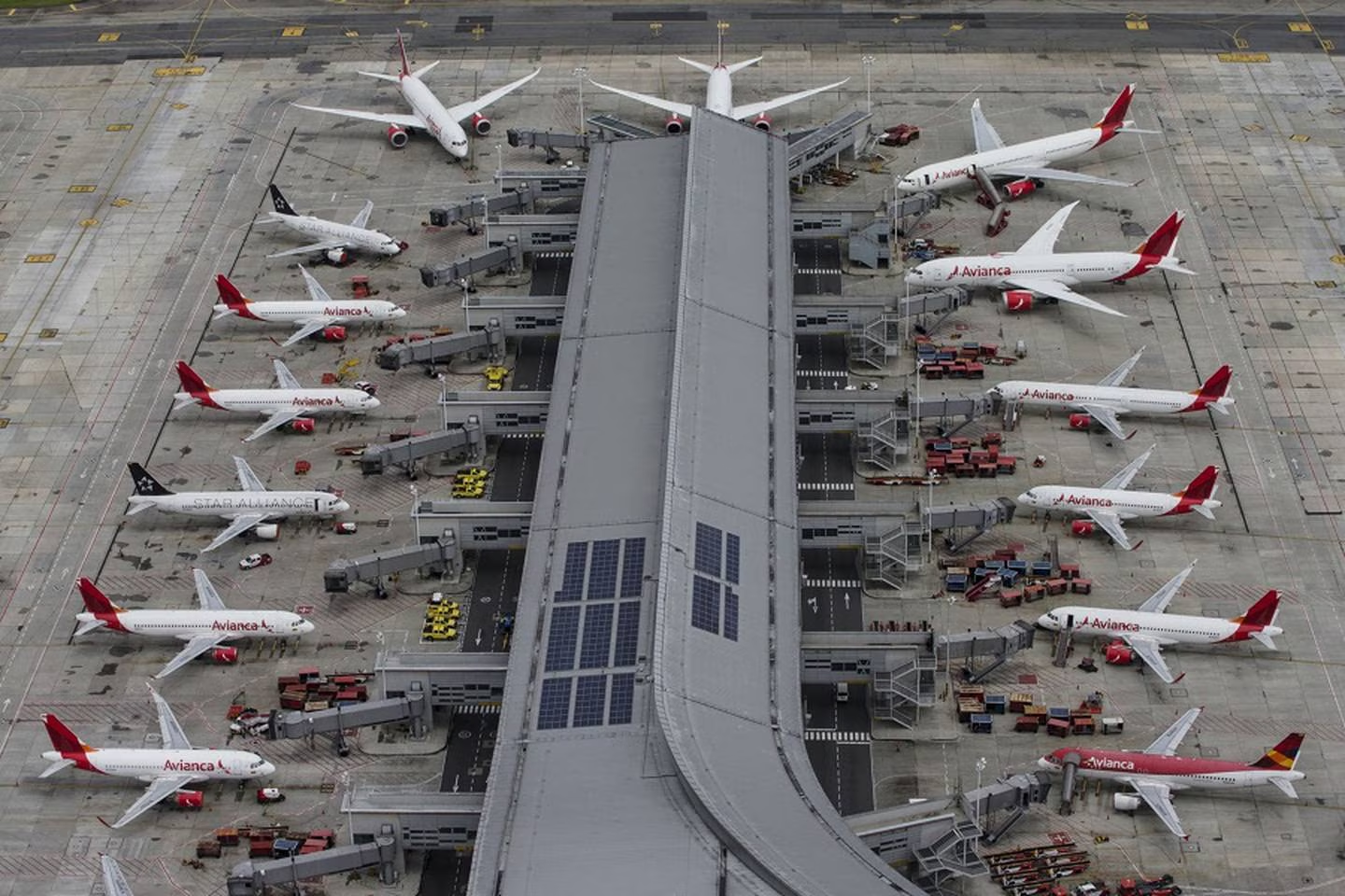 Se le crece la familia a Avianca. Incorporará 10 aviones más