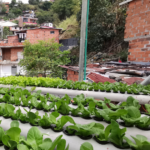 «Medellín sigue de moda, eso se refleja en las cifras»: Pulgarín.