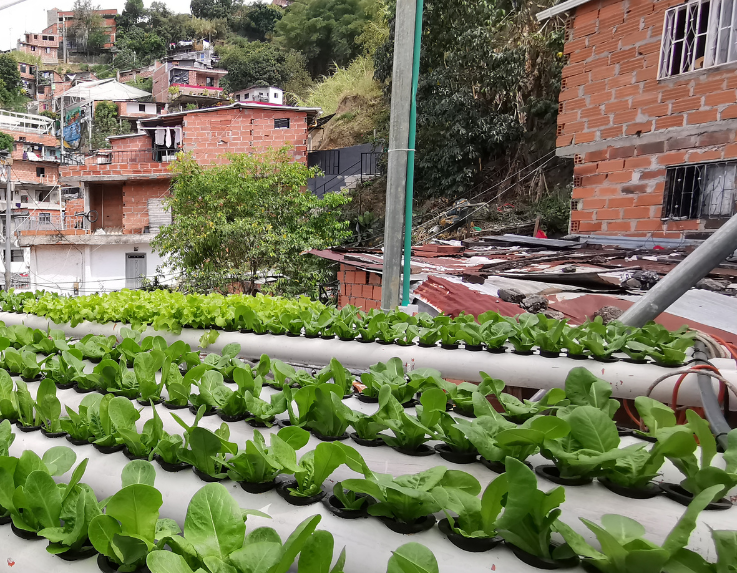Terrazas Verdes para tomarse la vida en la Comuna 13