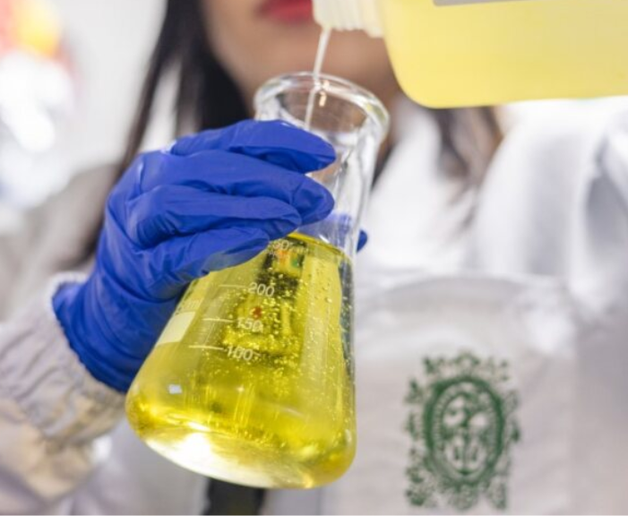 En la UdeA descubren que con derivados del aceite de uva pueden prevenirse varias enfermedades