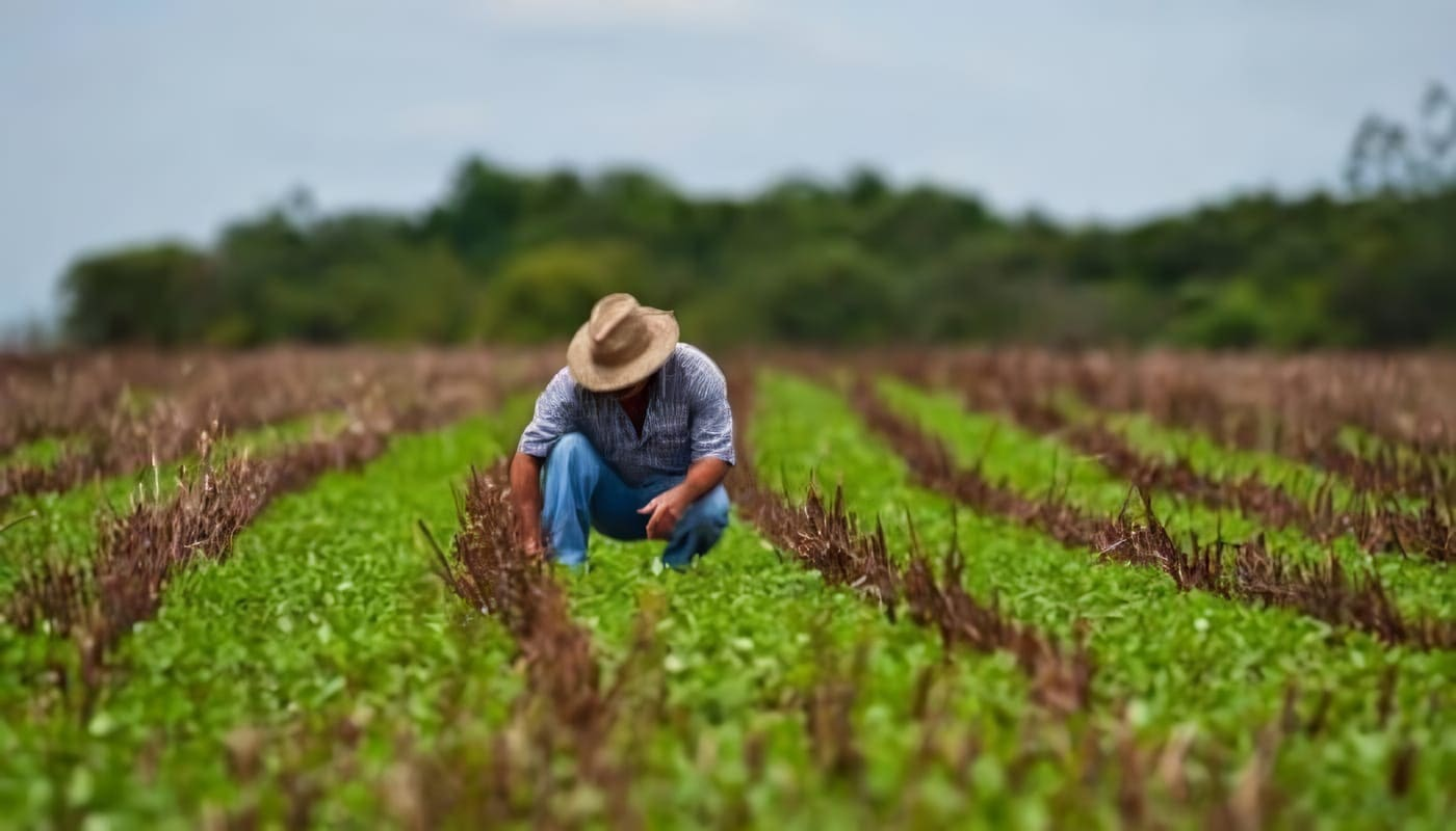 Bancolombia impulsa la sostenibilidad en el agro con más de $882.290 millones en créditos