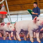 Conservación y consumo responsable de alimentos para cuidar del ambiente y de ti