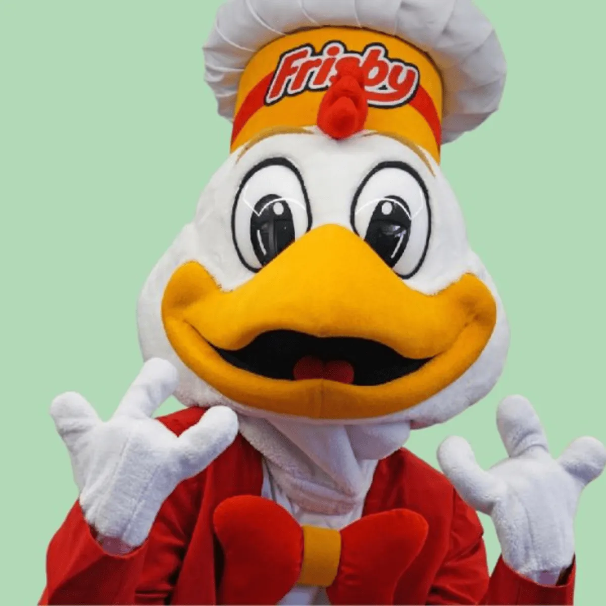 ¡Frisby solo hay uno! Tribunal en Alicante ordena parar al doble español.