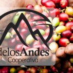 Tus cesantías: un ahorro que puede convertirse en una inversión estratégica