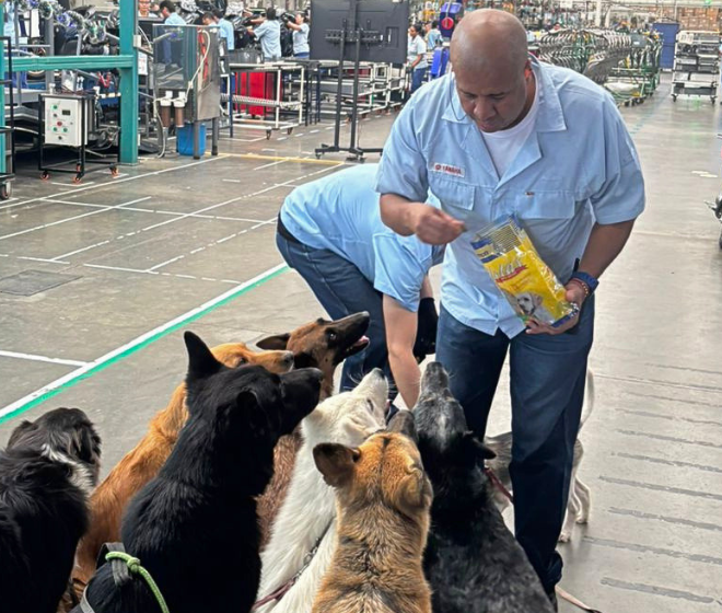 Colaboradores de Incolmotos Yamaha hacen una pausa en su jornada para compartir con los perros de acompañamiento emocional de la empresa.