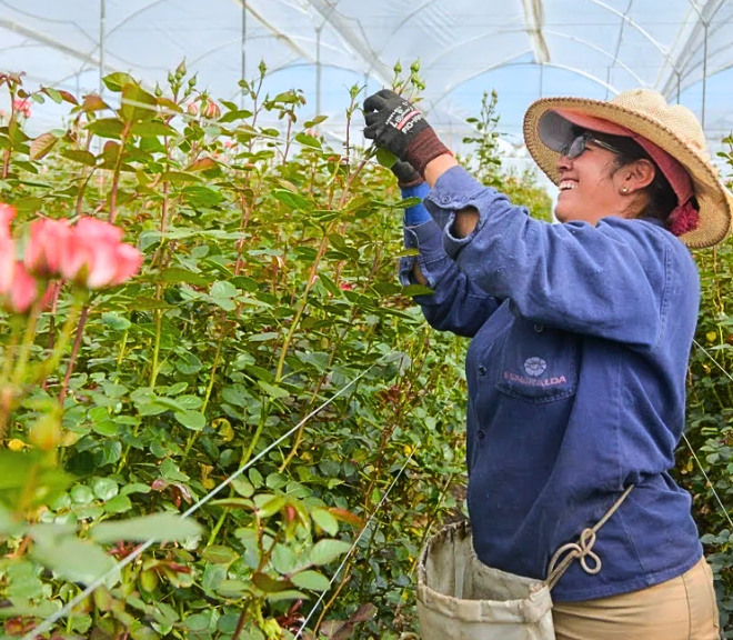 Desempleo en Colombia cae al 8 %: el mejor mayo desde 2001